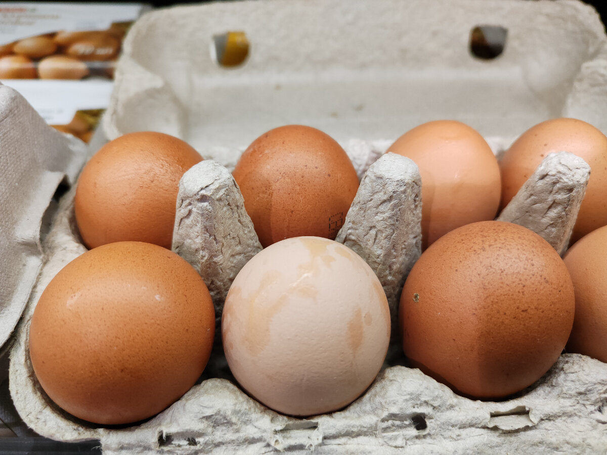 Скорлупа неоднородная, с наростами, с пигментными пятнами. 