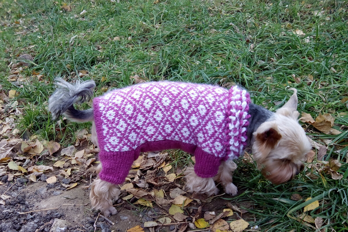 Что-то там интересное!