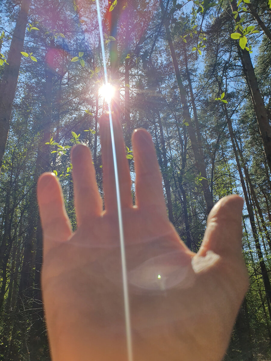 И  пусть солнечный свет, станет символом наших великолепных и радостных побед!