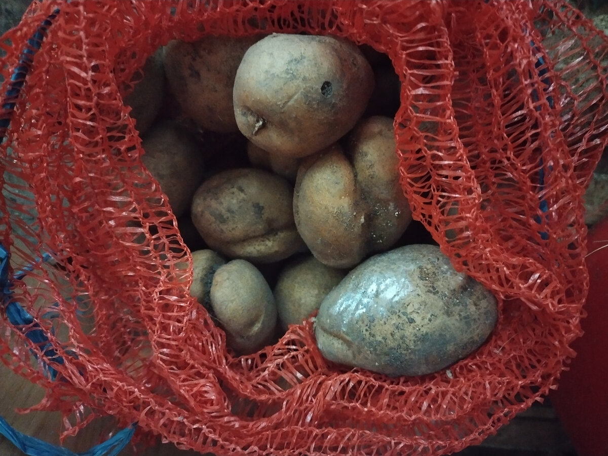 Жалкое зрелище