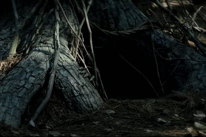 Кадр из фильма