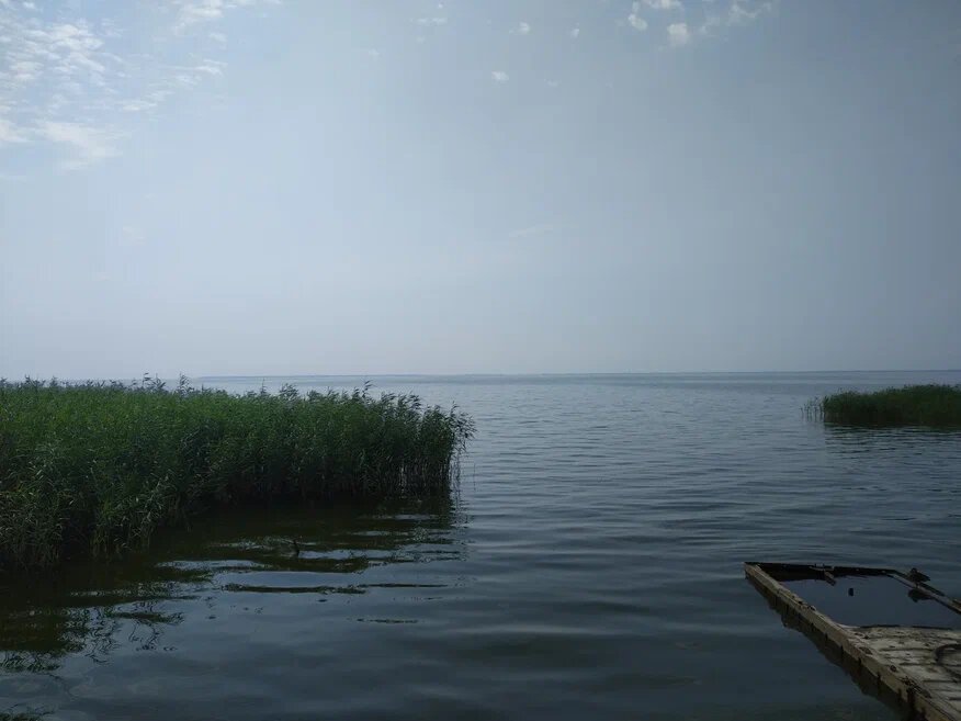 Куршский залив, не зря же фотографировала...