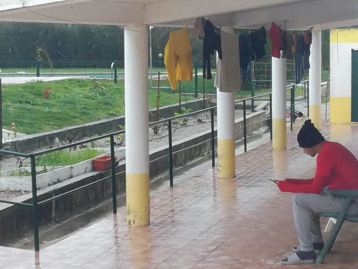 Сегодня у нас долгожданный дождь. У Алана почти выходной.