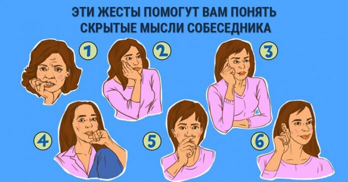 Изображение взято с открытых источников