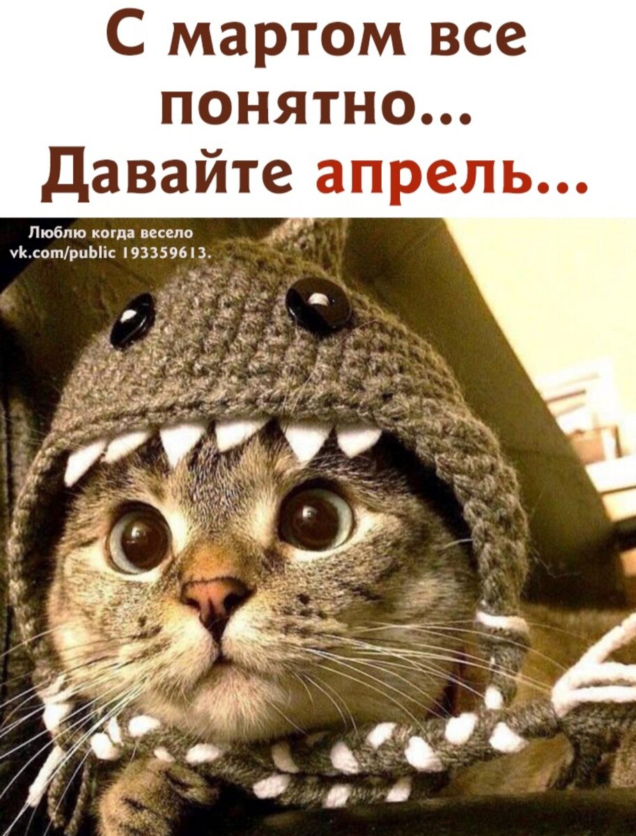 Картинка из интернета