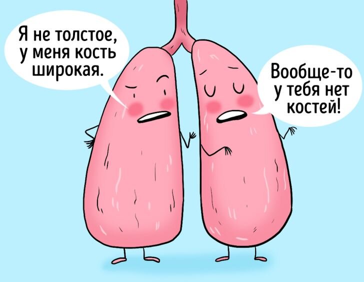 Объем и размер легких совершенно разный, а все из-за расположения сердца. Правое легкое больше и тяжелее левого просто для того, чтобы сердце поместилось в грудной клетке.