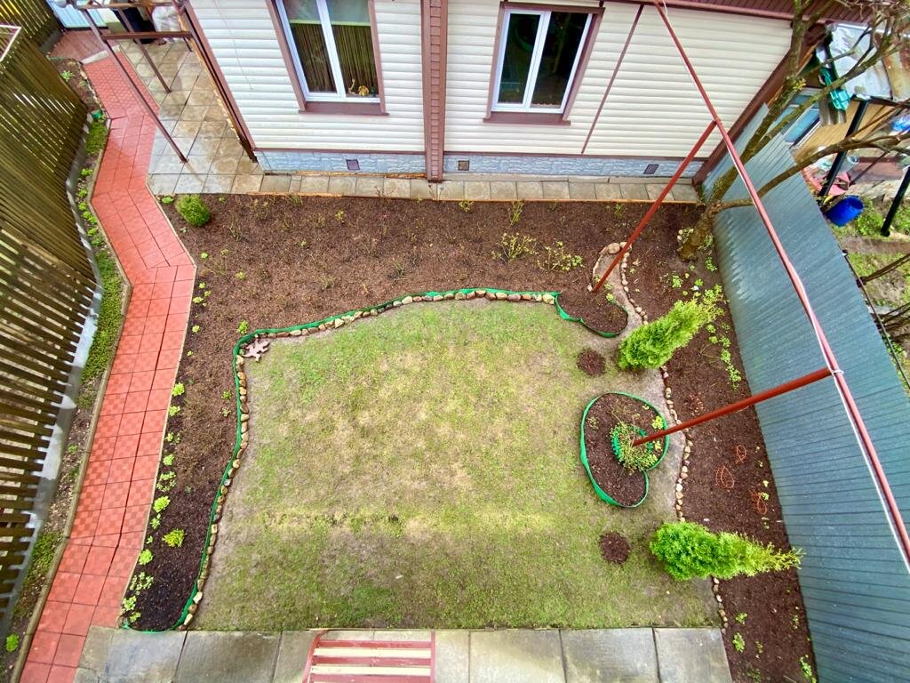 Мой розарий расположен на самом солнечном месте в саду 