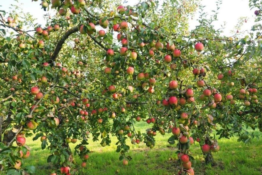 ФОТО из открытых источников