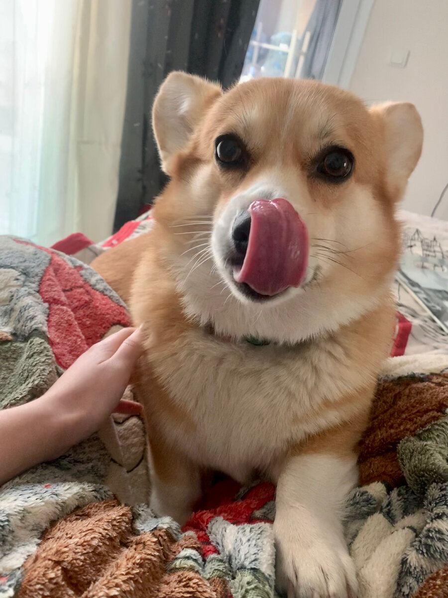 Любительница кушать:)