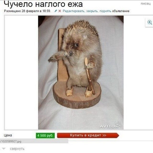 https://pisez.com/2019/07/prikoly-avito-rzhunimagu.html?cid=1032787
