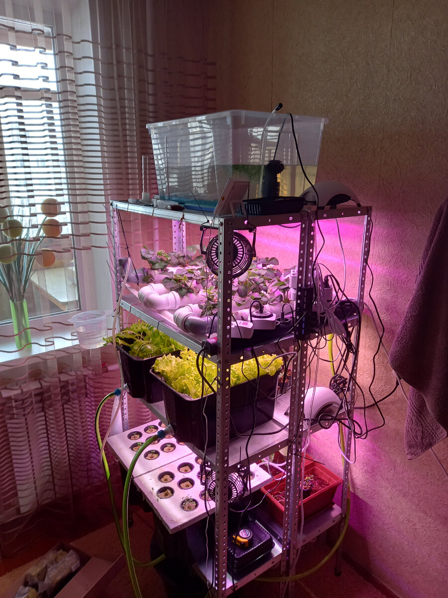 Мой стеллаж занимает меньше половины квадратного метра площади