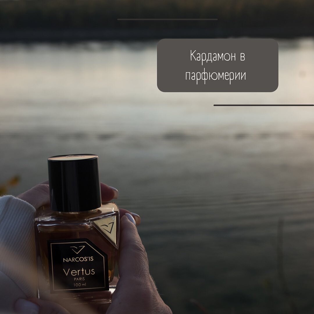 Аромат с нотой кардамон - Narcos’is Vertus