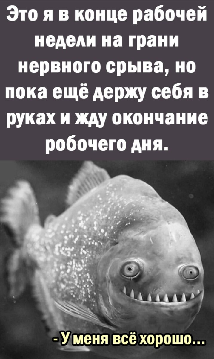 Картинка из интернета