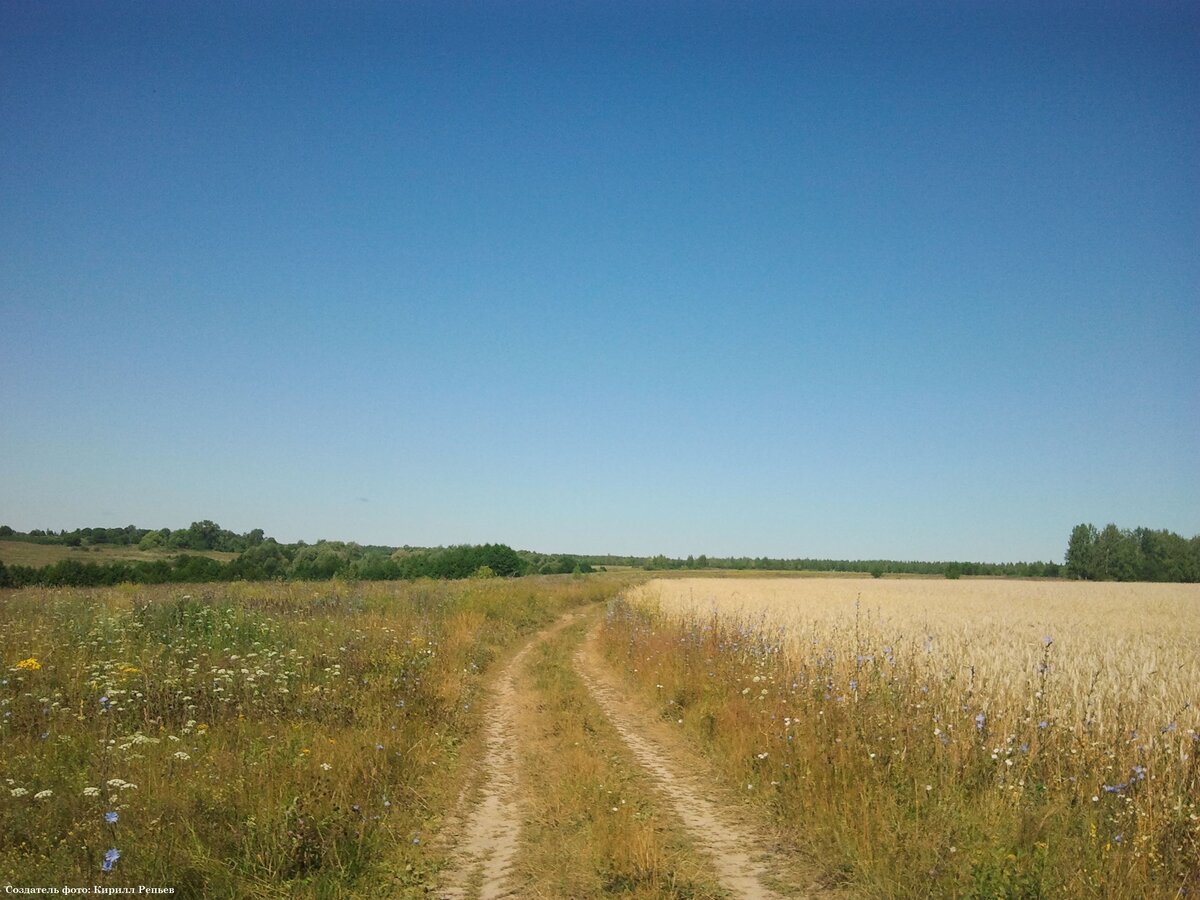 Россия, республика Мордовия, Теньгушевский район, около села Шокша. Автор фото: Кирилл Репьев