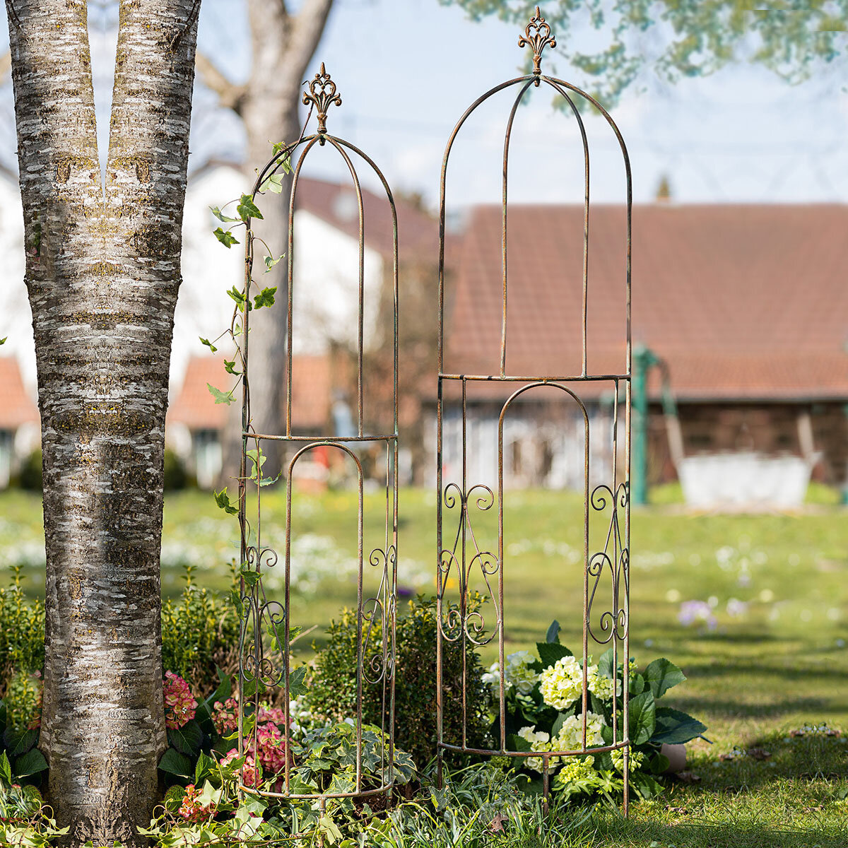 Опоры для растений "Лилии", 2 штуки (Артикул: 08095) Опоры выполнены из металла, покрытого лаком коричневого цвета, патинированы под античность. Полукруглая форма. Размеры: 25 х 12 х 137 см и 33 х 14 х 146 см. Требуется простой самостоятельный монтаж. В комплекте 2 штуки.