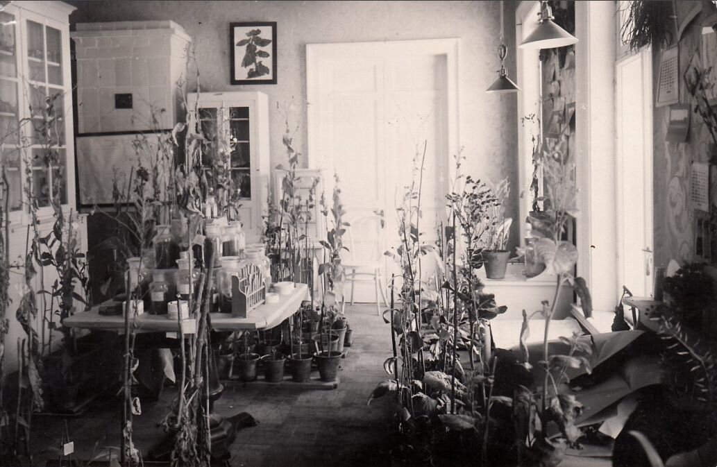 В.М. Федоров. Царское Село. Дом Китаевой (Дача А.С.Пушкина). Комната, служившая поэту гостиной. 1925