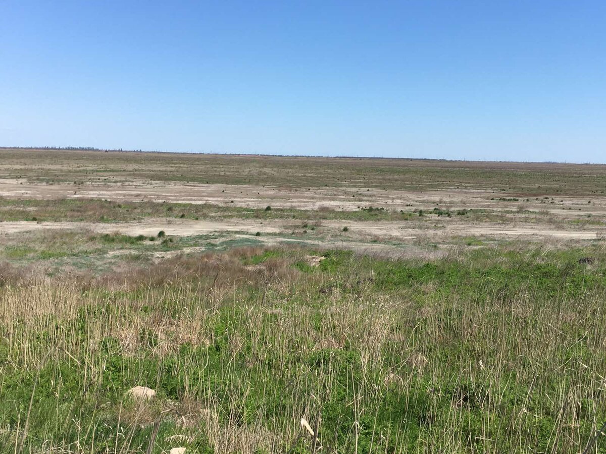 Скоро этот заросший пруд заполнится водой из Северо-Крымского канала