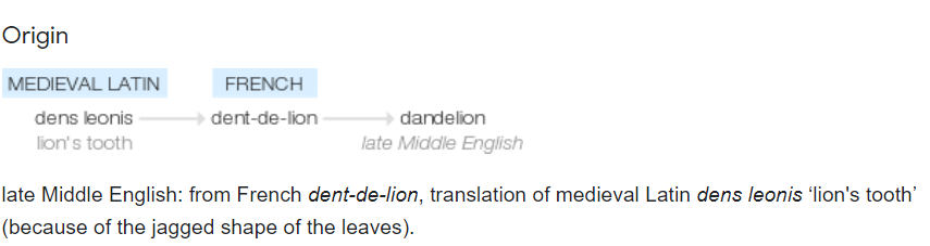 скришот-цитата этимологической справки