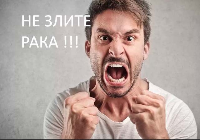 Фото из открытого источника Яндекс