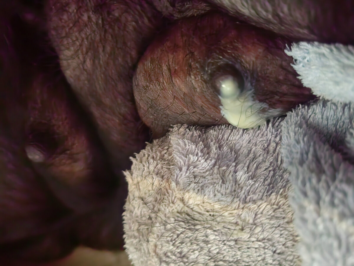 И это не молоко