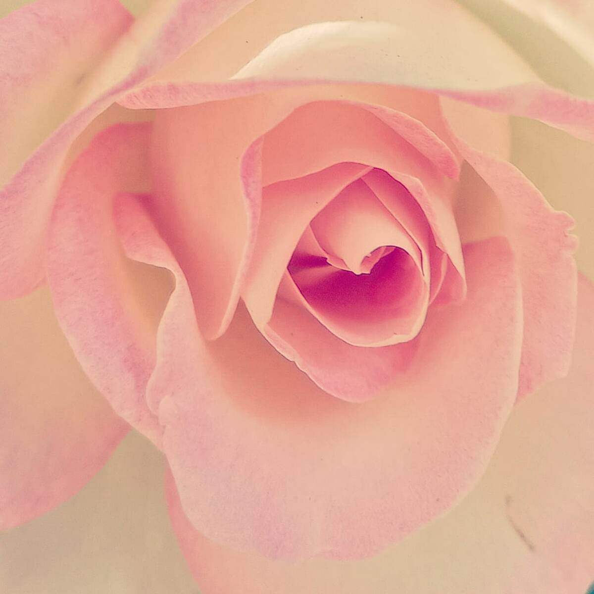 Фото ранее публиковалось в моем аккаунте инстаграмм (запрещен в РФ) ferrowalice а так же на моем канале дзен ДРОНОВА I DRONOVA