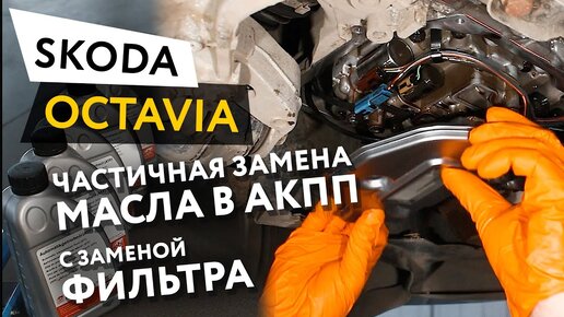 Замена масла и масляного фильтра Skoda Octavia 1U