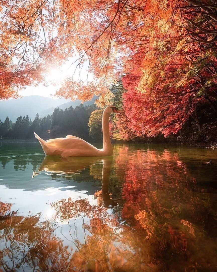 Фото из интернета