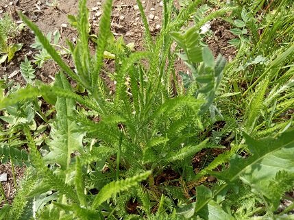 Фотография из личного архива автора