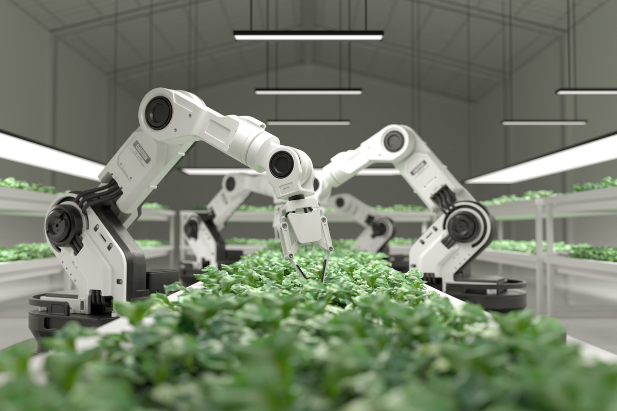 Лучшие проекты автоматизированных ферм по выращиванию цветов и растений