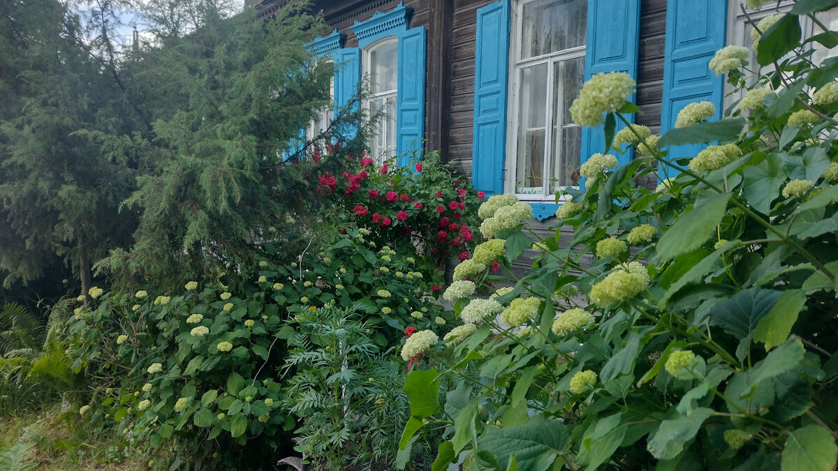 Фото автора