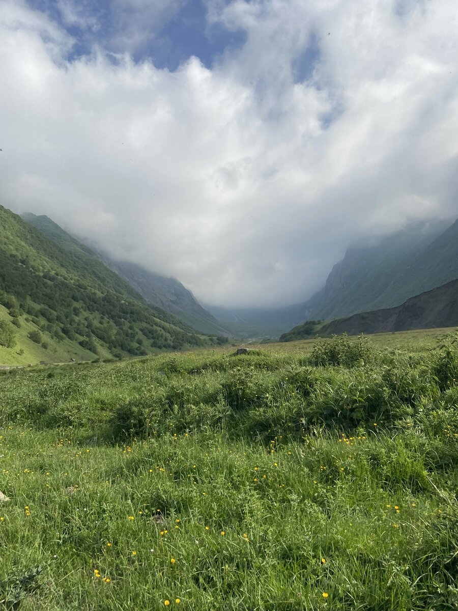 И даже красоты вокруг не радуют