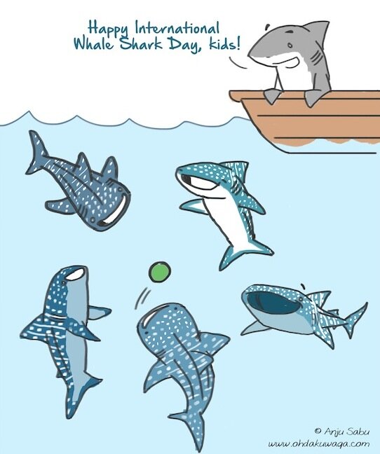 Happy International Whale Shark Day, kids! ©Anju Sabu