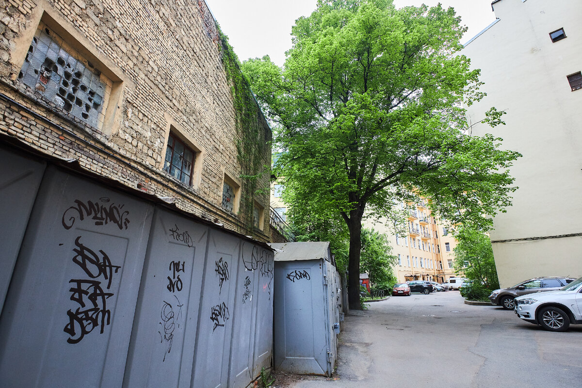 камеры дворов санкт петербурга. камеры дворов санкт петербурга. камеры дворов санкт петербурга. молодежные дворы в спб. птичий двор невский проспект санкт-петербург.