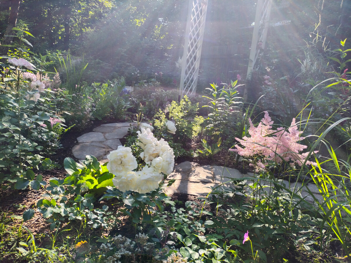 Только в это время можно получить такие воздушные фотографии