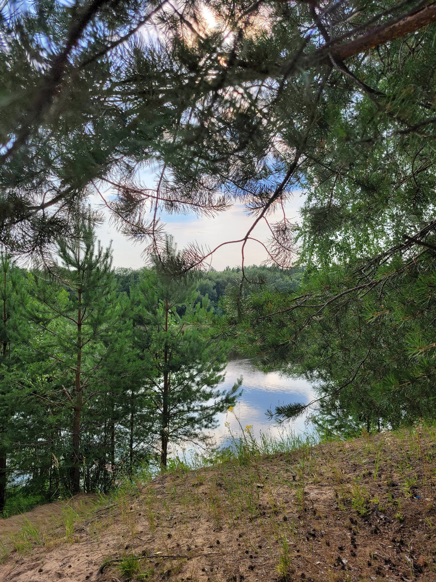 Язьва