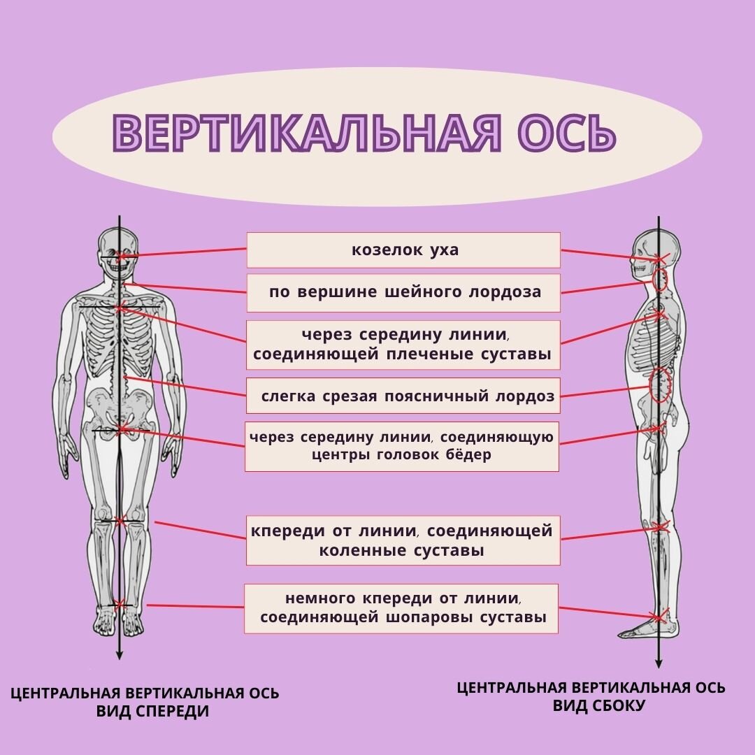 Привычное непринужденное положение тела человека