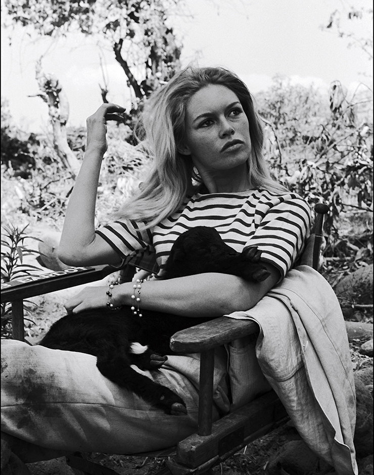 Брижит Бардо, 1965 год