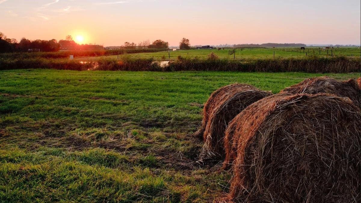 Источник: Яндекс картинки