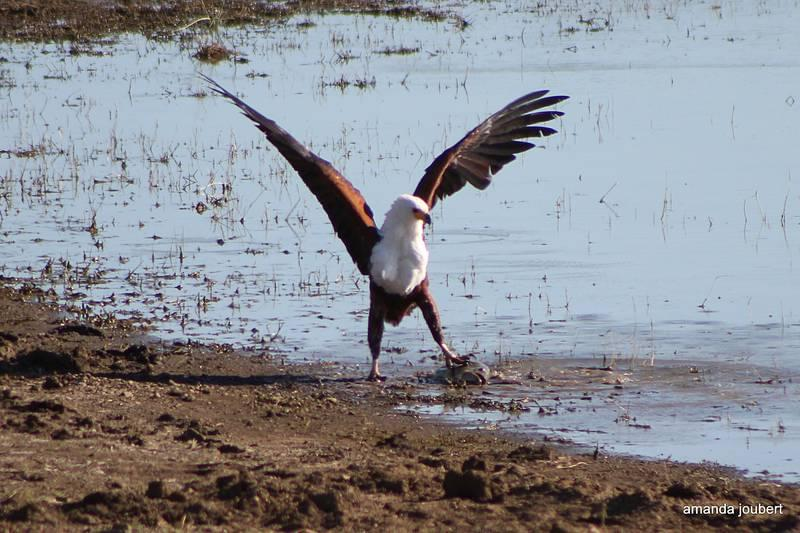 ���, ���� � ����. �������� ������ ����� � ������� ��������� � ����� ������ �����. 