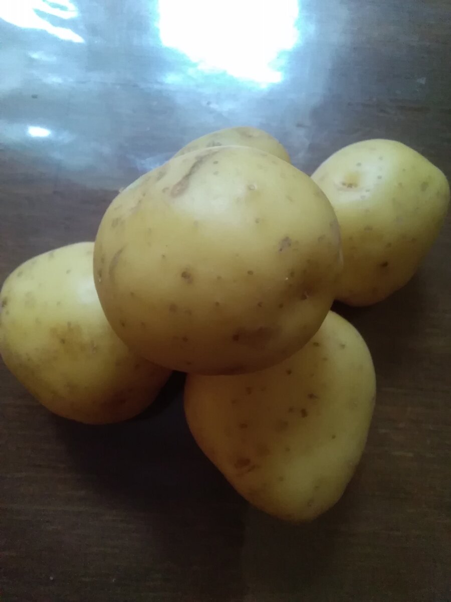 Фото автора. 