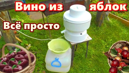 Яблочное ВИНО [ Просто и вкусно ] вино из яблок простой рецепт