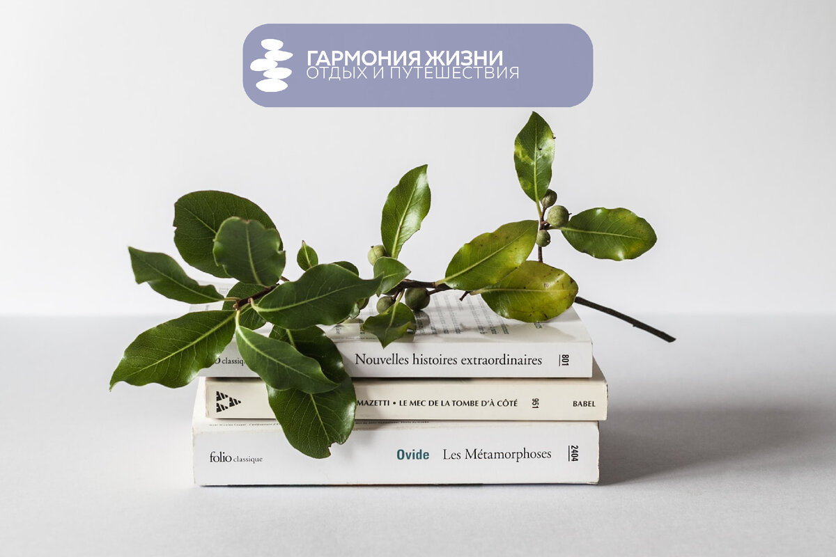 Photo by Alex Lvrs on Unsplash