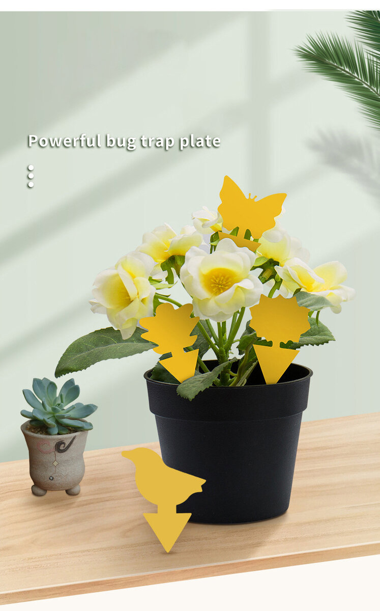 фото aliexpress.ru