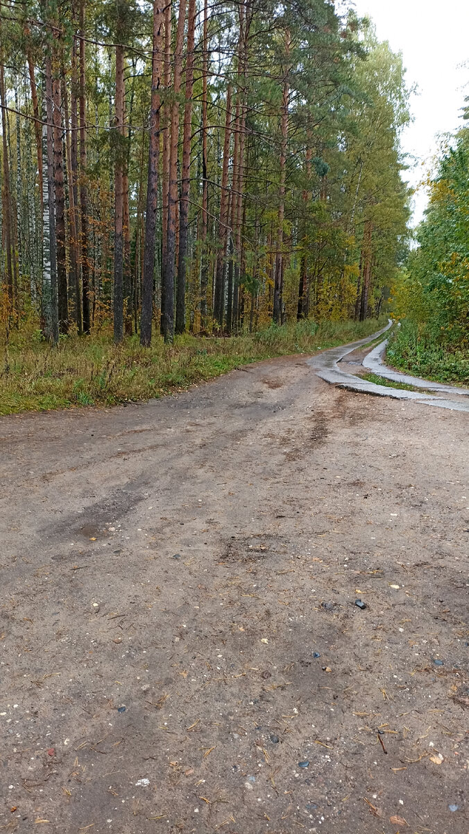 Зелёная роща
