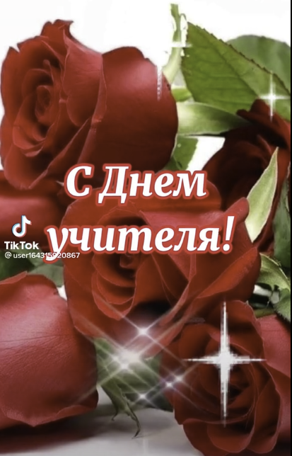 скрин ролика из тик-ток с замечательными розами