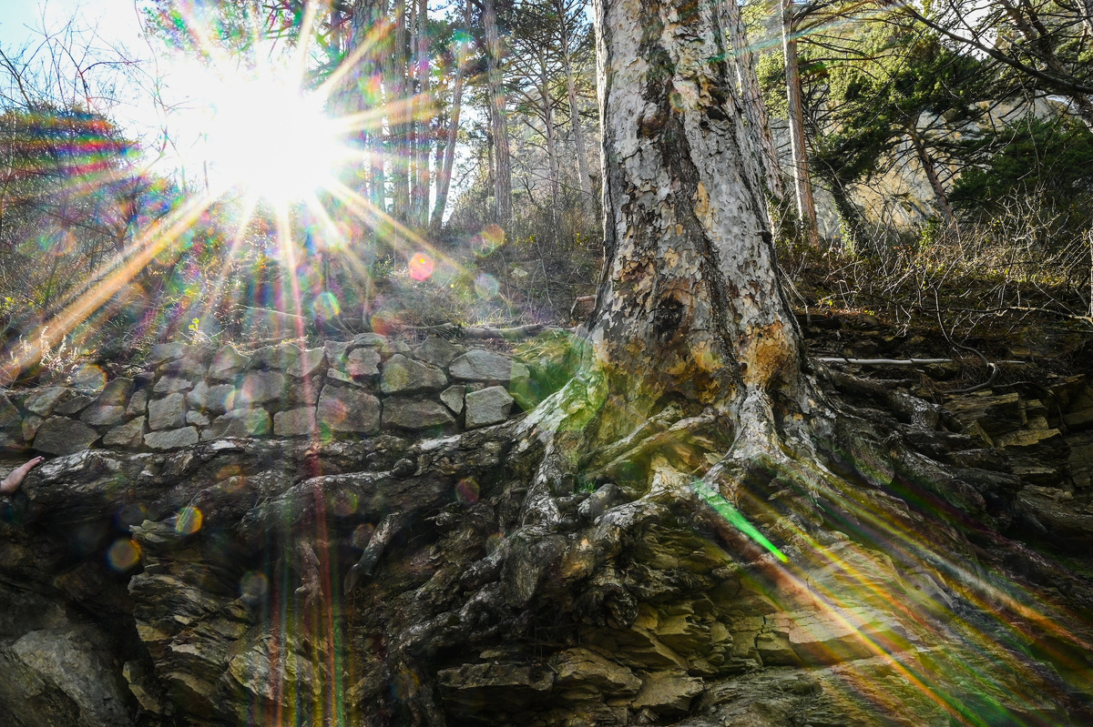 ©РИА Новости/Рамиль Ситдиков