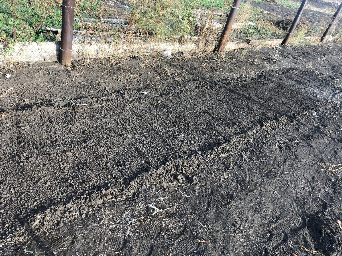 грядка готова