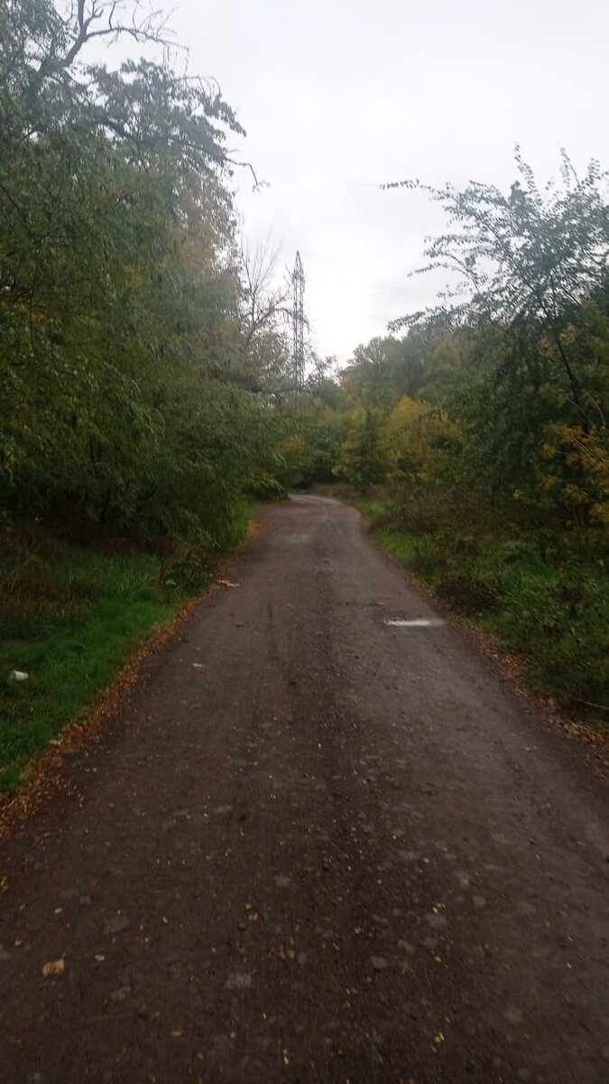 Шли по грязи, в даль