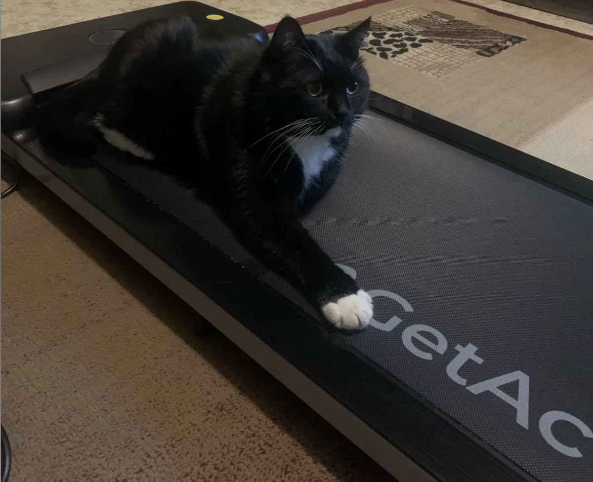 Беговая дорожка для дома