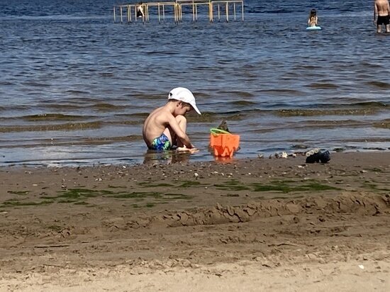     Дети. Фото: Сергей Климушев